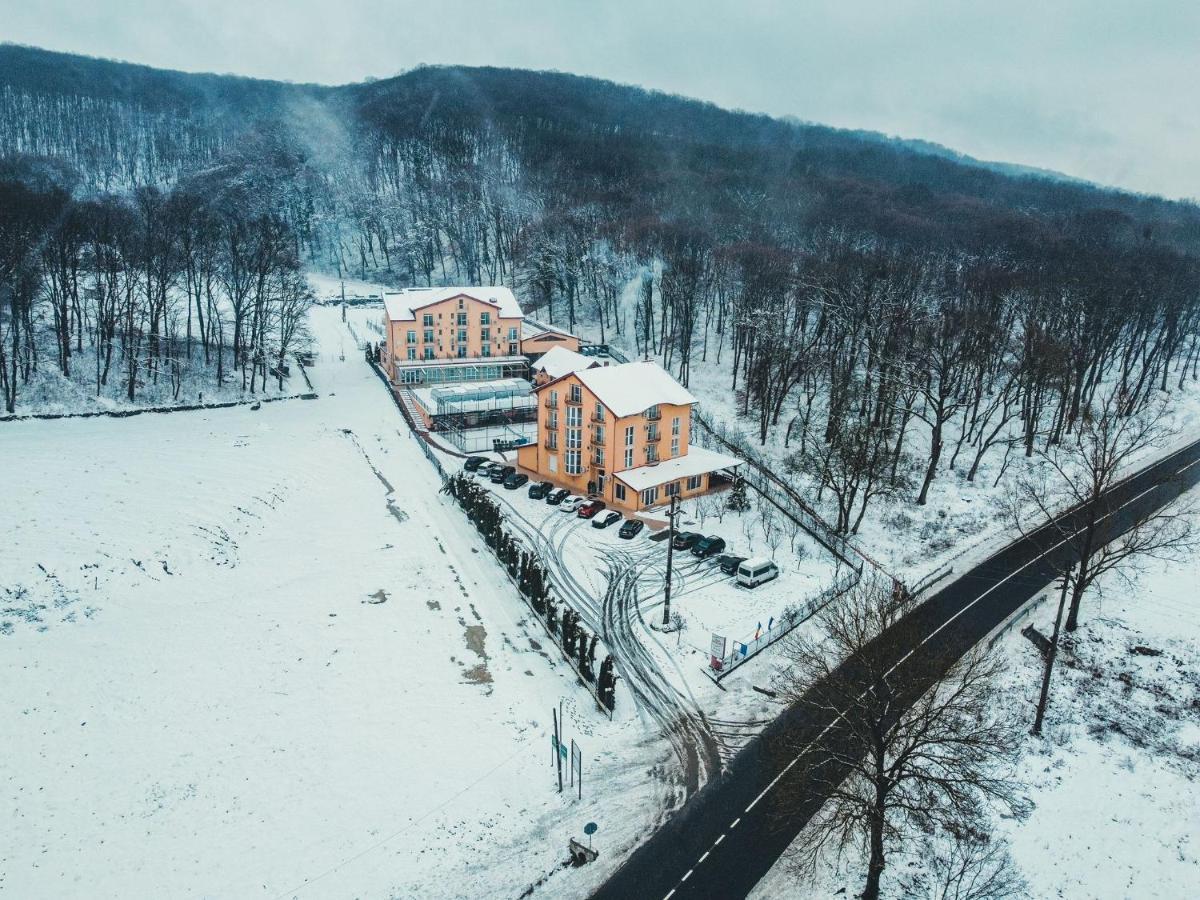 Hotel Metropol Băile Felix Exteriér fotografie